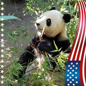 Meet your Posher, Susanne